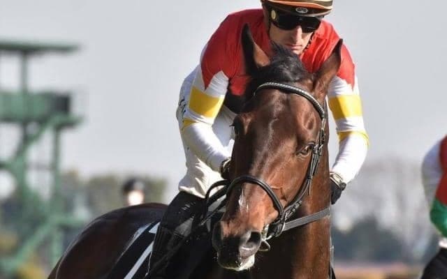 エリザベス女王杯覇者の仔 素質開花させ2連勝で一気にオープン入りを目指す