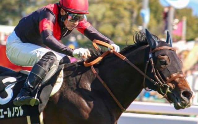 京王杯SCは内＆前有利？ 内枠から先行するリュミエールノワルが狙い目だ