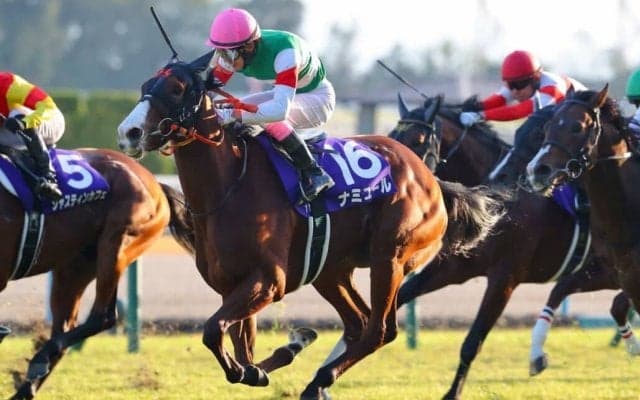 【ヴィクトリアM】武豊ナミュールは6枠10番へ