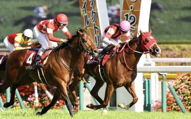 【京王杯SC】ウインマーベルが重賞4勝目…得意の芝1400m