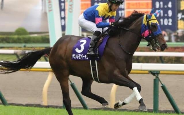 東京芝は高速決着で前優勢 復調ムードのサウンドビバーチェで高配狙い