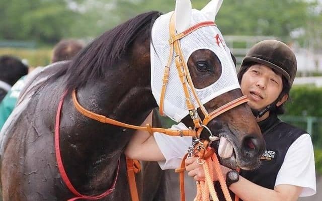 兄にNHKマイルC覇者や豪G1馬 良血馬が弥彦Sで全きょうだい4頭目のオープン入りへ