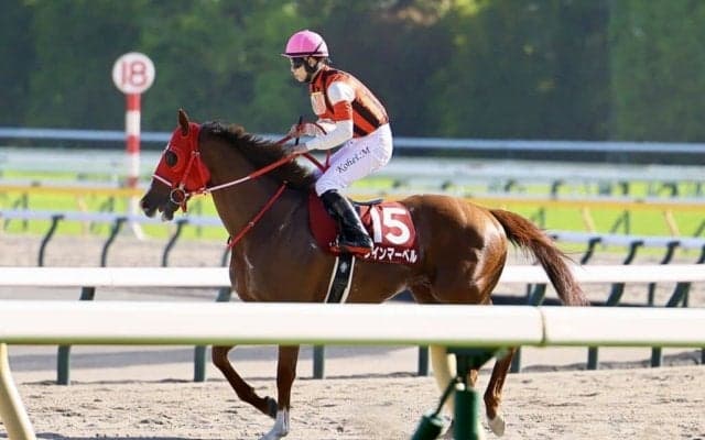 【京王杯SC】松山「しぶとく差し返してくれた」ウインマーベルが重賞4勝目