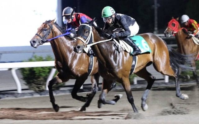 【高知競馬】打越勇児調教師が地方通算2000勝達成