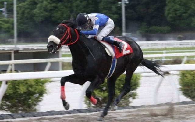 【高知・春野特別】伏兵ロイズピークがクビ差凌ぐ…佐原「ゲートだけに集中」