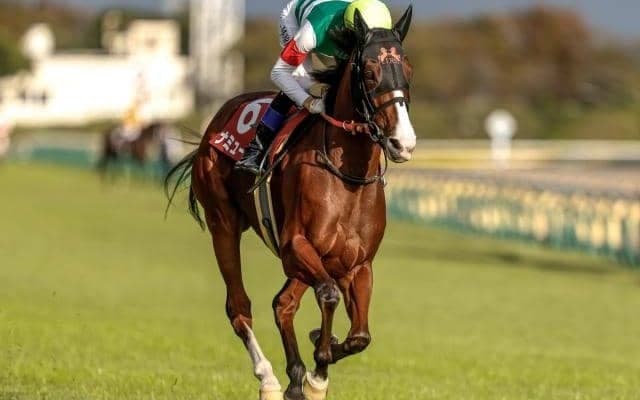 【今日の注目ポイント】春の女王決定戦・ヴィクトリアマイル 武豊騎手がJRA通算4500勝に王手