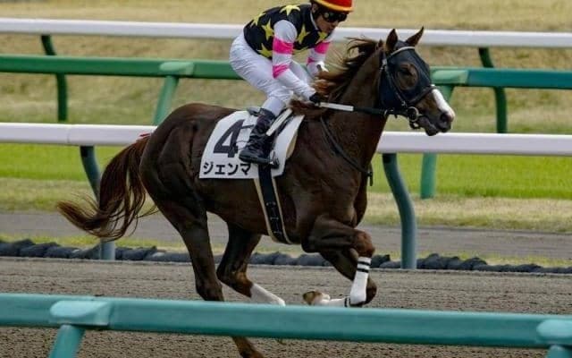 産駒はたった2頭のみ キングリオ産駒がJRA初勝利/新潟3R
