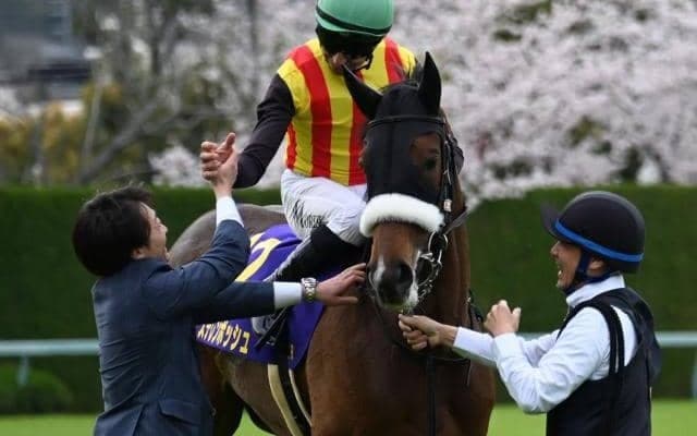 牝馬三冠の二冠目・オークスと平安S/今週の競馬界の見どころ