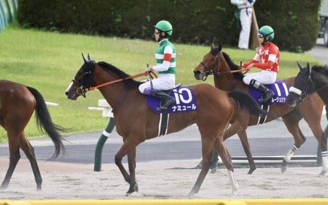 【ヴィクトリアM】ナミュール武豊「切れる脚が出せず…」レース後ジョッキーコメント