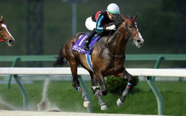 【盛岡・シアンモア記念】断然人気グランコージーが岩手重賞連勝…石川倭「終始余力ある感じ」