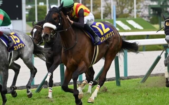 【オークス見どころ】堅実無比のステレンボッシュが二冠に挑む