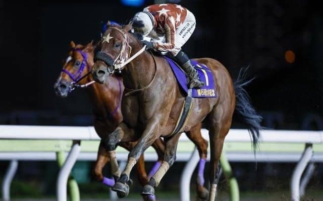 【大井記念枠順】連覇を狙うセイカメテオポリスは7枠7番