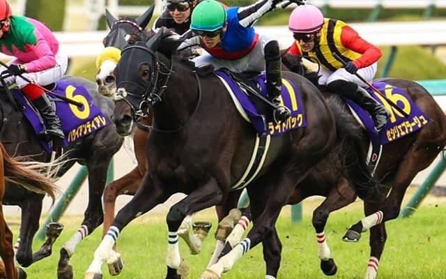 メジロドーベルの力も借りてオークス制覇へ レイクヴィラファーム代表が語るライトバックへの期待「よく聞かれるんです。ただ…」