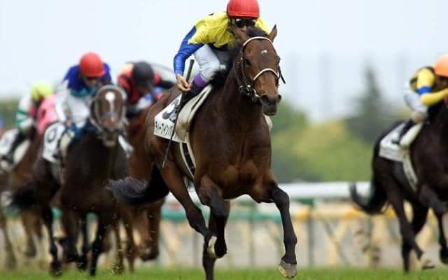 【日本ダービーの偉大な記録】ディープインパクト産駒が7勝で最多 2勝以上を挙げている種牡馬は何頭？