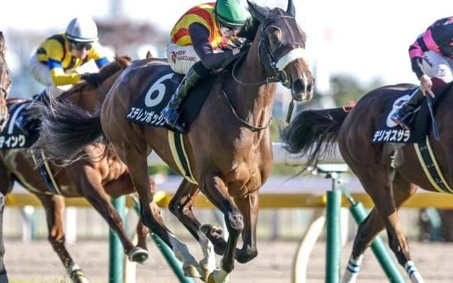 【オークス予想オッズ】ステレンボッシュが予想1番人気