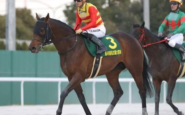 【平安S予想オッズ】ハギノアレグリアスが予想1番人気