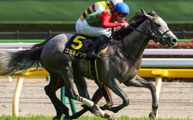 3連勝でオークス挑戦“樫の惑星”とともに 28歳実力派がクラシック初制覇に挑む