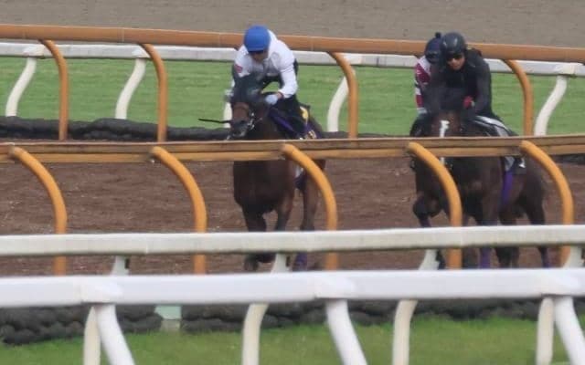 ジャスティンミラノ、日本ダービー1週前追い切り速報/栗東トレセンニュース