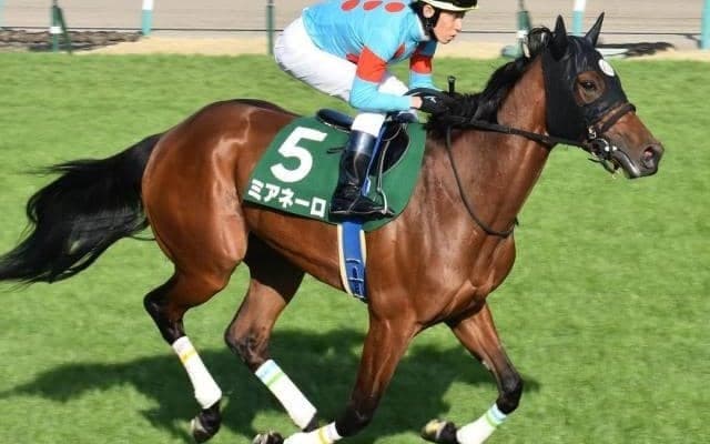 ドゥラメンテ産駒前人未到のV3へ 先週悲願のGI制覇した鞍上がオークスでも魅せる