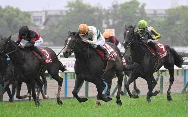 【安田記念想定】ソウルラッシュ、ロマンチックウォリアーなど16頭