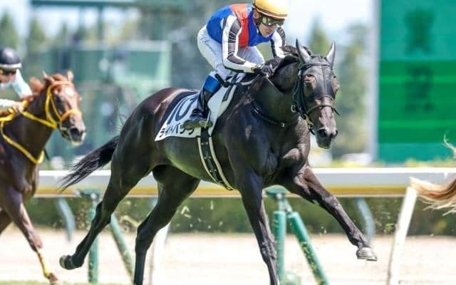 【オークス予想】脚質に不安は残るが… 直近のパフォーマンスとコース替わりを評価したAI推奨馬とは？