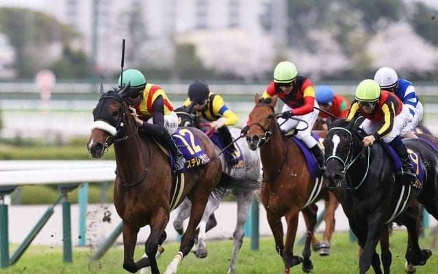 オークス有力馬の強みがわかる「３歳牝馬ランキング」本命ステレンボッシュを脅かす存在はいるか？