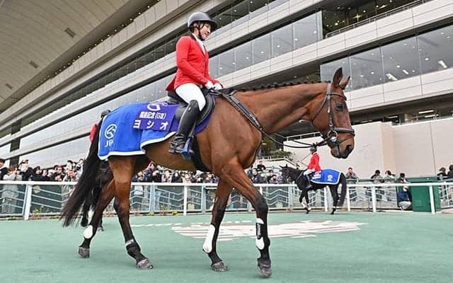 福島競馬場の誘導馬ヨシオが11歳で死す 21年アイドルホースオーディションの1位