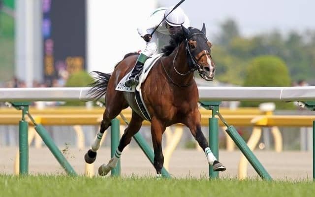 【日本ダービーの偉大な記録】これまでの最高配当記録は285万6300円 戦後直後には単勝554.3倍での勝利も