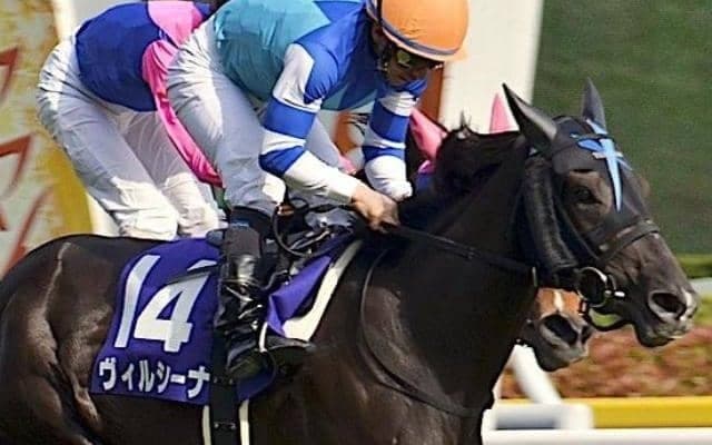 母は名牝ヴィルシーナ 佐々木主浩オーナーのヴェストリアが待望のデビュー