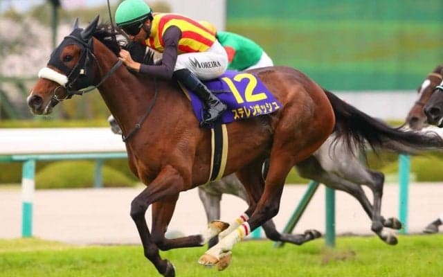 【オークス】ステレンボッシュは4枠7番へ