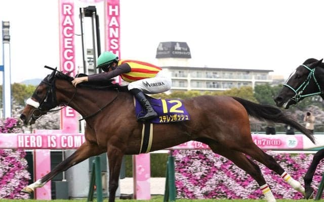 オークスは血統的に注目が２頭 本命ステレンボッシュは適性の高さが明らか