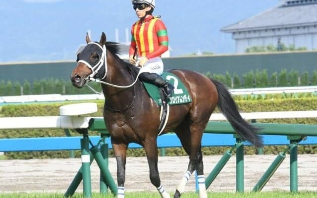 【平安S枠順確定】グロリアムンディは5枠10番、ハギノアレグリアスは3枠5番