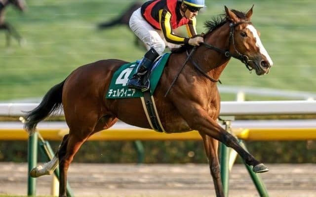 オークス週に出走する“オークス馬の仔”は何頭いる？ 