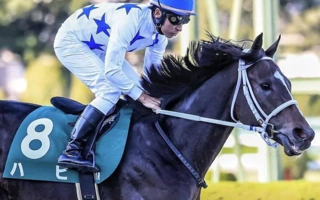 京都ダートはディープ系に注 ダート替わりでハピが巻き返す