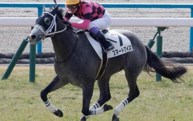 重賞4勝の母を持つ良血 毎日杯5着から自己条件で必勝態勢