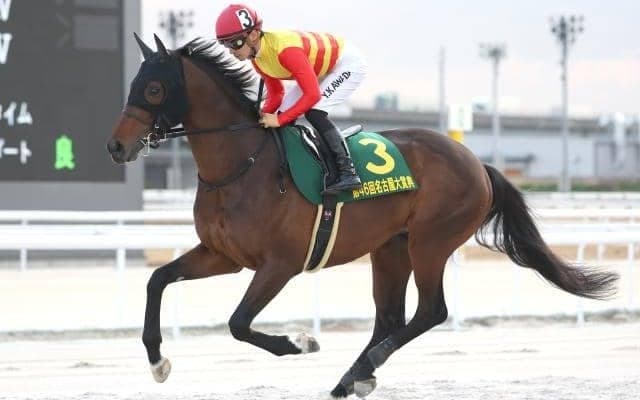 【今日の注目ポイント】京都で帝王賞の前哨戦・平安S