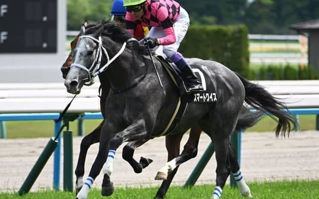 【メルボルンT結果】スマートワイスが競り合いを制してV