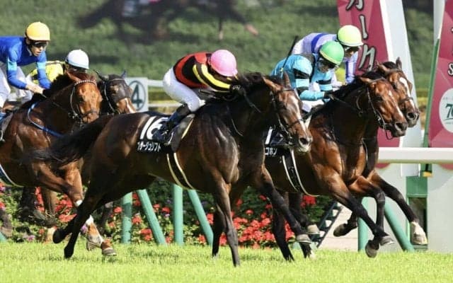 【メイS】プレサージュリフト2年3ヶ月ぶり勝利