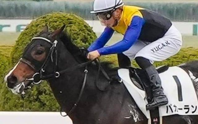 半兄に砂の実力馬ユティタム 金子真人オーナーのパカーランが連勝なるか