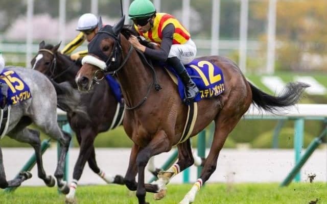 霜降り明星・粗品がオークスで3連単厳選6点勝負 ステレンボッシュを信頼して頭固定