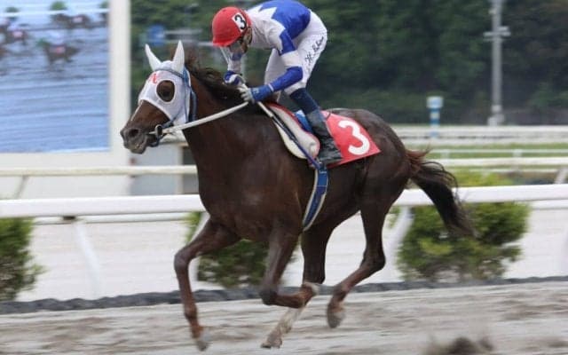 【高知・山桃特別】マジックセブンが4連勝