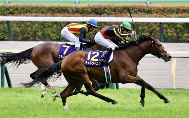 【オークス】ルメールの鮮やかな手綱さばき！チェルヴィニアがゴール前の接戦を制する