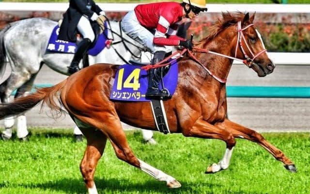 ウマ娘・藤田晋オーナーの3億円馬 外国産馬初の日本ダービー制覇なるか