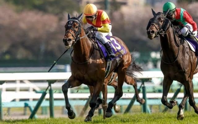 競馬の祭典・日本ダービーなど3重賞/今週の競馬界の見どころ