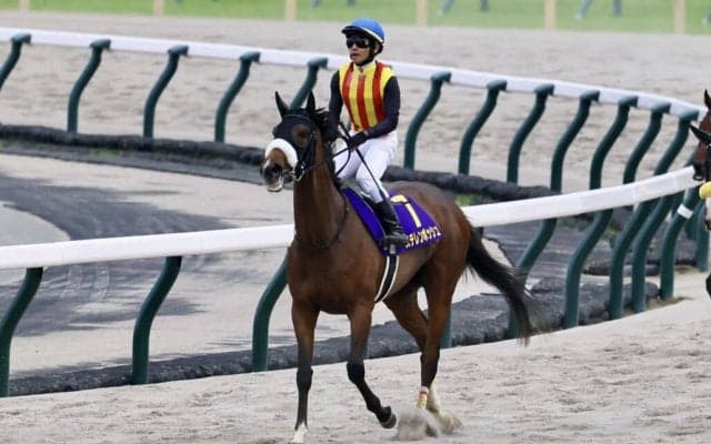 【オークス】ステレンボッシュ戸崎「前に一頭いましたね…」レース後ジョッキーコメント