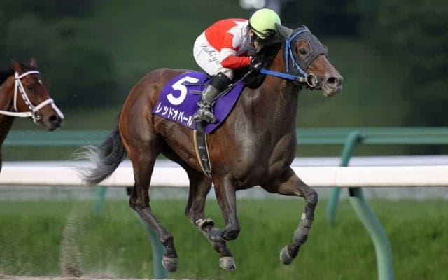 【盛岡・イーハトーブマイル】レッドオパールが完勝…山本聡「岩手を代表する3歳牝馬」