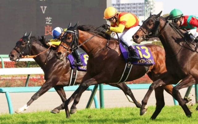 【日本ダービー／危険な人気馬】優勝候補を大胆に“消し”と判断　「単勝1.6倍も飛んだ」皐月賞とダービーの関連性