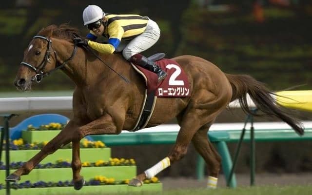 世界各国を飛び回りGIを4勝 万能型の名馬“シングスピール”を深堀り
