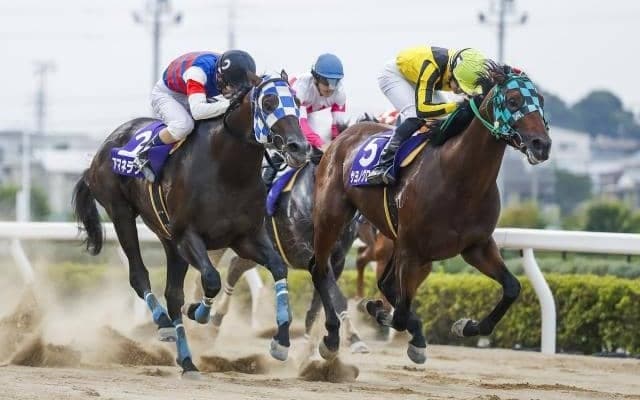 【浦和・プラチナC枠順】連覇を狙うサヨノグローリーは5枠6番
