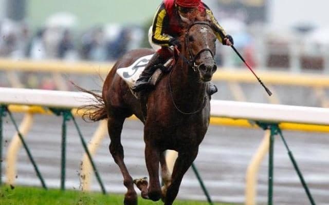 「おじいちゃんが全頭一緒」の珍事！ 名種牡馬のすごさが際立った日本ダービー